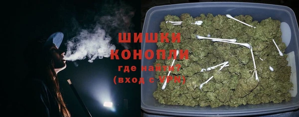 ГАЛЛЮЦИНОГЕННЫЕ ГРИБЫ Новозыбков