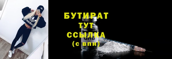 ГАЛЛЮЦИНОГЕННЫЕ ГРИБЫ Новозыбков