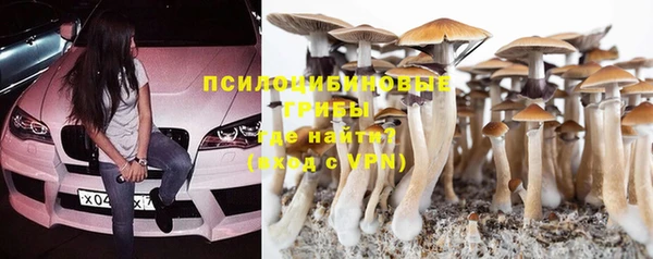молекула духа Кинешма