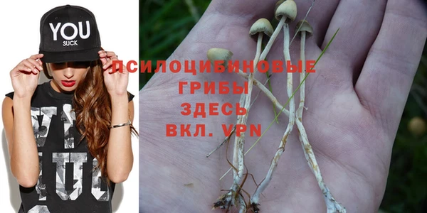 mdma Новодвинск
