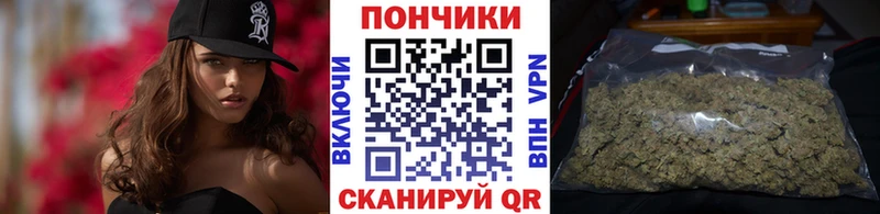 блэк спрут зеркало  Кулебаки  Конопля ГИДРОПОН 